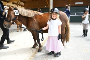 Yssingeaux : 36 chevaux au concours modèles et allures