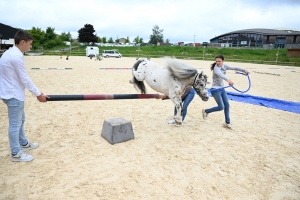 Yssingeaux : 36 chevaux au concours modèles et allures