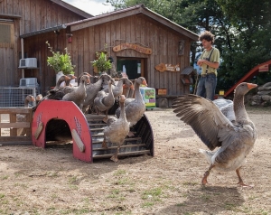 La ruralité à l&#039;honneur dimanche à Montregard