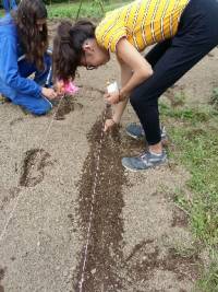 Les collégiens de George-Sand cultivent un &quot;Jardin du Cœur&quot; à Yssingeaux