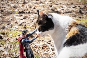 Lapte/Tence : pendant le confinement, Jean-Marc Vidal libère son talent de photographe avec Superman