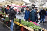 Riotord : quelques morilles et des forains pour le 8 mai férié