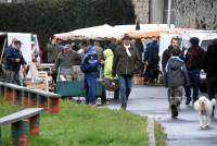 Riotord : quelques morilles et des forains pour le 8 mai férié