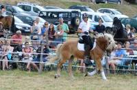 La Fête du cheval au grand galop au Chambon-sur-Lignon