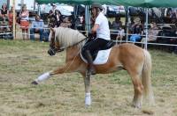 La Fête du cheval au grand galop au Chambon-sur-Lignon