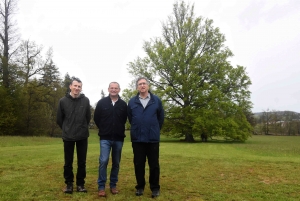 Yssingeaux : un hêtre du Château de Lavée labellisé « Arbre remarquable »