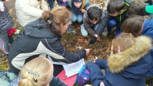 Les écoliers de Grazac continuent leur projet nature