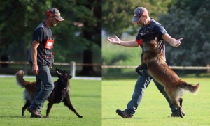 Yssingeaux : David Thibaut et Christelle Trevet sur le podium en sauvetage canin