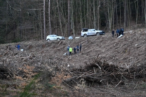 Yssingeaux : des collégiens de Jean-Monnet participent au reboisement d&#039;une forêt