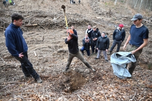 Yssingeaux : des collégiens de Jean-Monnet participent au reboisement d&#039;une forêt