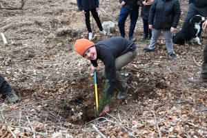 Yssingeaux : des collégiens de Jean-Monnet participent au reboisement d&#039;une forêt