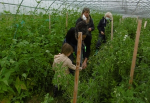 Le jardinage fait son retour aux Marmousets à Monistrol