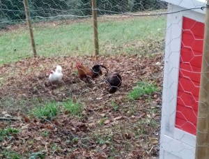 Monistrol-sur-Loire : comment réaliser un goûter zéro déchet