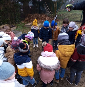 Les Villettes : six arbres fruitiers plantés à l&#039;école publique