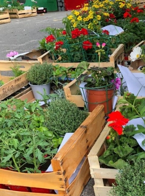 Monistrol-sur-Loire : fleurs, aromates et plants de légumes vendus pour l&#039;ensemble scolaire du &quot;Château&quot;