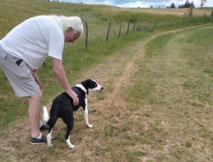 Deux chiens perdus à Retournac