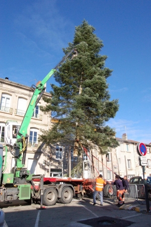 Monistrol-sur-Loire : un grand sapin de Noël offert sur la place Néron