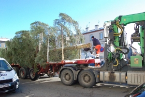 Monistrol-sur-Loire : un grand sapin de Noël offert sur la place Néron