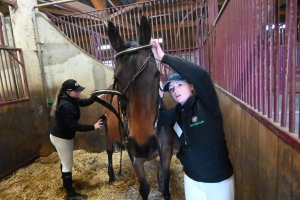 Yssingeaux : deux équipes du lycée George-Sand à domicile pour les championnats de France Young Breeders