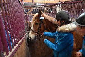 Yssingeaux : deux équipes du lycée George-Sand à domicile pour les championnats de France Young Breeders