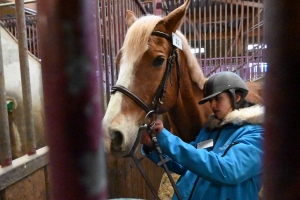 Yssingeaux : deux équipes du lycée George-Sand à domicile pour les championnats de France Young Breeders