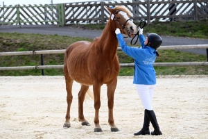 Yssingeaux : deux équipes du lycée George-Sand à domicile pour les championnats de France Young Breeders