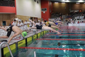 Marches du Velay Natation sur tous les fronts