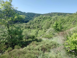 Saint-Pal-de-Mons : chaque lundi de Pentecôte, un pèlerinage organisé jusqu&#039;à la chapelle Saint-Julien-la-Tourette