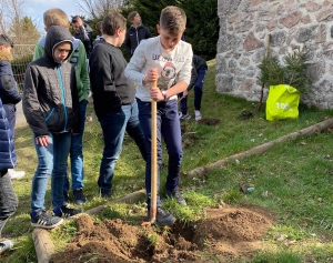 Dunières : les collégiens plantent deux arbres... et un slip