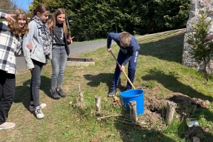 Dunières : les collégiens plantent deux arbres... et un slip