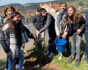 Dunières : les collégiens plantent deux arbres... et un slip