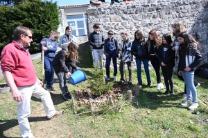 Dunières : les collégiens plantent deux arbres... et un slip