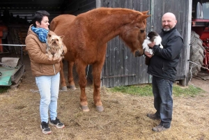 Retournac : le refuge &quot;L&#039;écureuil sur le vieux chêne&quot; crée une maison de retraite pour animaux