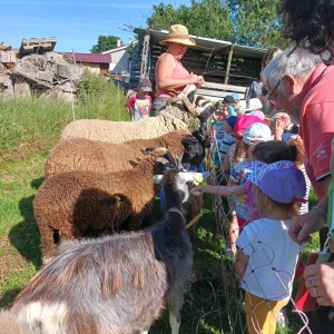 Sortie à la ferme pour le relais petite enfance les 6 Loupiots