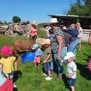 Sortie à la ferme pour le relais petite enfance les 6 Loupiots