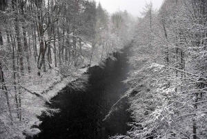 Le Lignon au Chambon-sur-Lignon