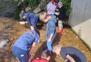 Dunières : les écoliers au chevet de la rivière