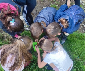 Dunières : les écoliers au chevet de la rivière