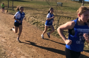 Le lycée Saint-Gabriel d&#039;Yssingeaux vice-champion académique de cross