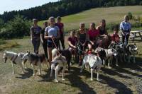 Bas-en-Basset : le club de basket reprend... avec du cani-rando