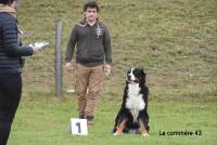 Yssingeaux : 56 chiens inscrits au concours d&#039;obéissance ce week-end