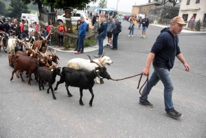 La chèvre du Massif-Central joue les belles ce dimanche à Saint-Front (vidéo)