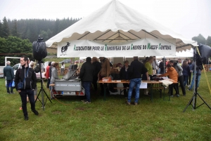 La chèvre du Massif-Central joue les belles ce dimanche à Saint-Front (vidéo)