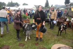 La chèvre du Massif-Central joue les belles ce dimanche à Saint-Front (vidéo)