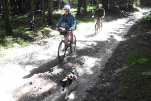 Riotord : 674 randonneurs à pied ou en VTT pour la 34e Saint-Jean