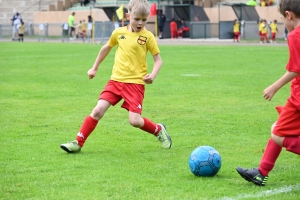 Sainte-Sigolène : 350 jeunes footballeurs au tournoi Dowlex