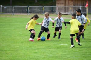 Sainte-Sigolène : 350 jeunes footballeurs au tournoi Dowlex