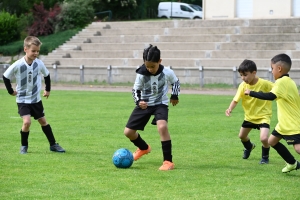 Sainte-Sigolène : 350 jeunes footballeurs au tournoi Dowlex