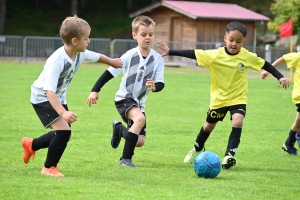 Sainte-Sigolène : 350 jeunes footballeurs au tournoi Dowlex