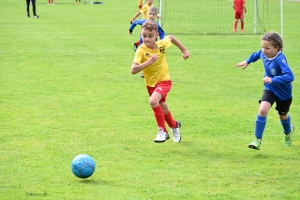 Sainte-Sigolène : 350 jeunes footballeurs au tournoi Dowlex